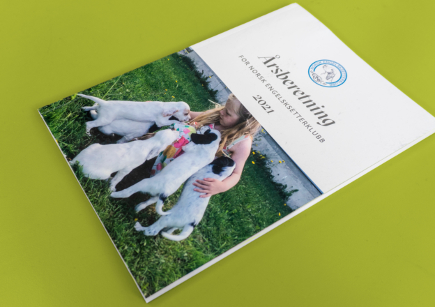 Årsrapport Norsk Engelsksetterklubb