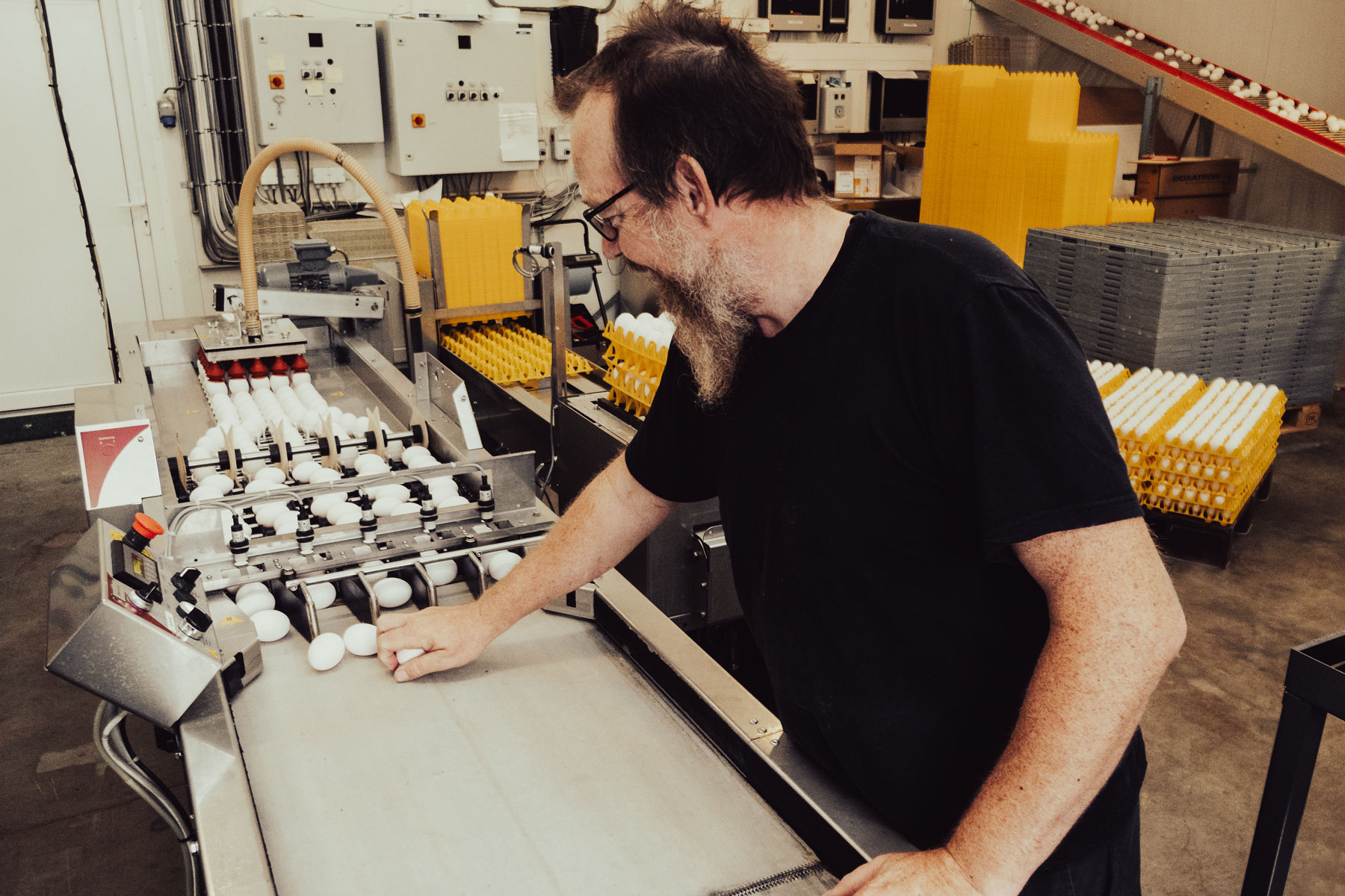 Mann ved eggpakkemaskin – filmproduksjon for Ringsaker Egg
