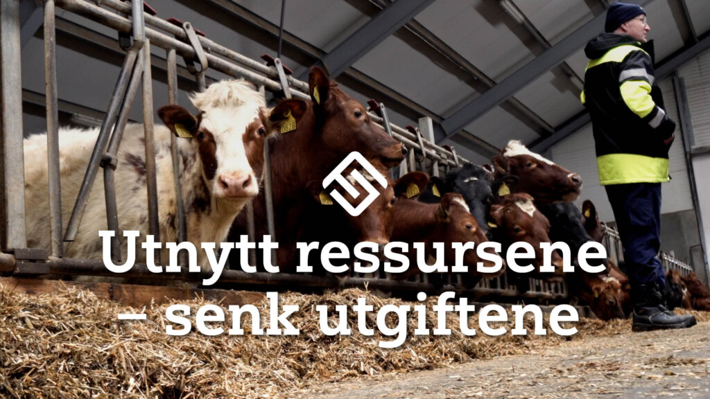 Stillbilde fra film for Fjøssystemer med teksten Utnytt ressursene – senk utgiftene