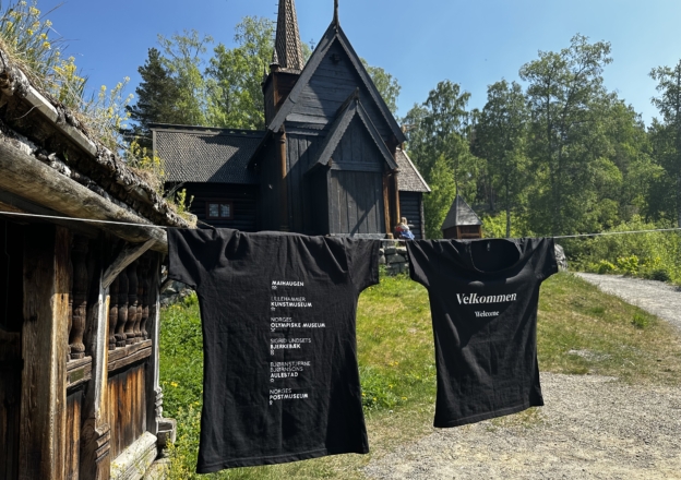 T-skjorter