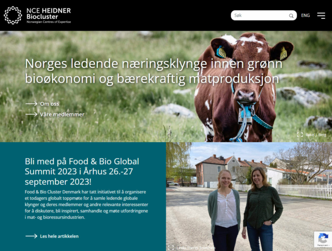 reklamebyra hamar
