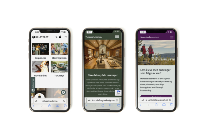 nettside_dialecta_reklamebyra_lillehammer_gjovik_vinstra webuvikling