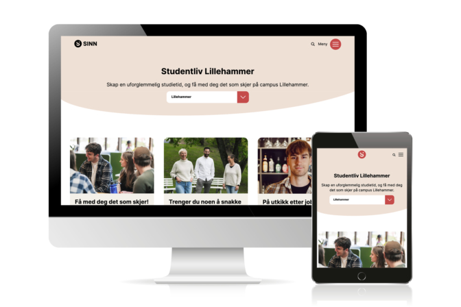 nettside_dialecta_reklamebyra_lillehammer_gjovik_vinstra_brummunddal webutvikling lillehammer