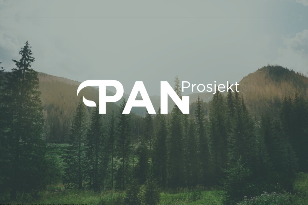 Logo for PAN Prosjekt over et skoglandskap